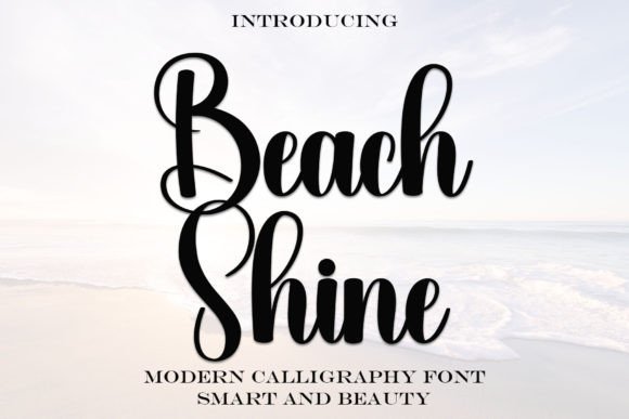 Download Beach Shine - Premium Bundle